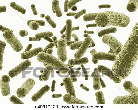 Stock Image - Bacteria, illustration.. Fotosearch