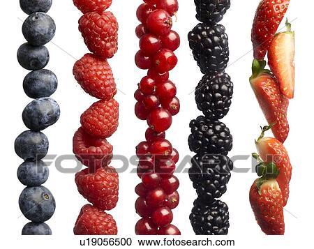 Stock Image - Berries in a row, studio shot.. Fotosearch