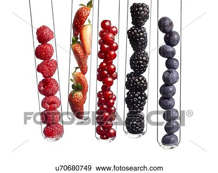 Stock Photo - Berries in test tubes, studio shot.. Fotosearch