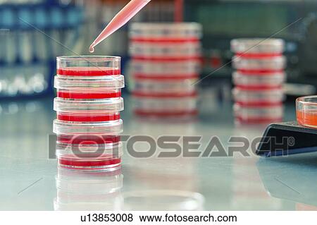 Stock Photo - Biochemistry research.. Fotosearch