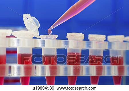 Biochemistry research. View Large Photo Image Stock Photo - Biochemistry research.. Fotosearch