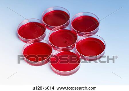 Biological research. View Large Photo Image Picture - Biological research.. Fotosearch
