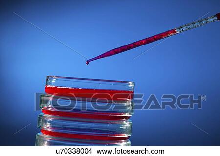 Picture - Biological research.. Fotosearch