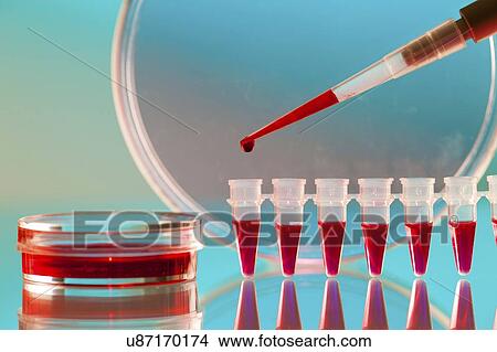 Biological research. View Large Photo Image Picture - Biological research.. Fotosearch