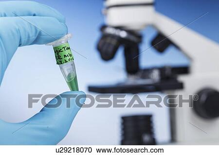 Biological research. View Large Photo Image Stock Image - Biological research.. Fotosearch