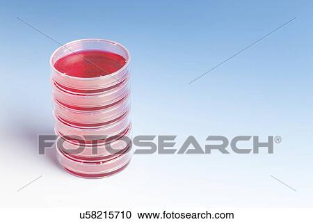 Biological research. View Large Photo Image Stock Image - Biological research.. Fotosearch