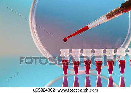 Stock Image - Biological research.. Fotosearch