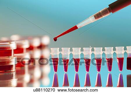 Biological research. View Large Photo Image Stock Image - Biological research.. Fotosearch