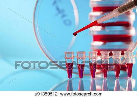 Stock Image - Biological research.. Fotosearch