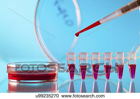 Biological research. View Large Photo Image Stock Image - Biological research.. Fotosearch