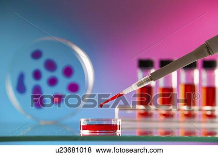 Stock Photo - Biological research.. Fotosearch