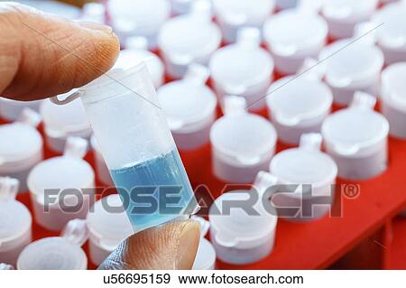 Stock Photo - Biological research.. Fotosearch