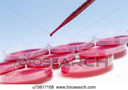 Stock Photo - Biological research.. Fotosearch