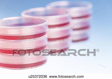 Biological research. View Large Photo Image Stock Photograph - Biological research.. Fotosearch