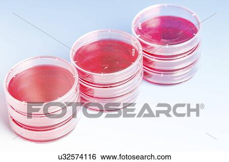 Biological research. View Large Photo Image Stock Photograph - Biological research.. Fotosearch