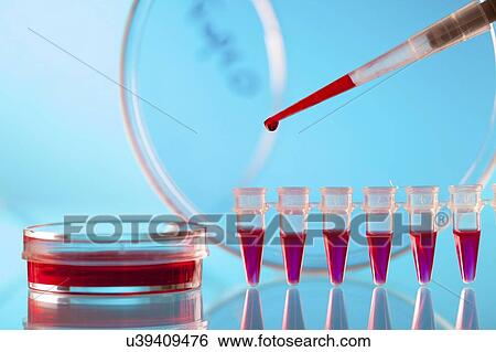 Stock Photograph - Biological research.. Fotosearch