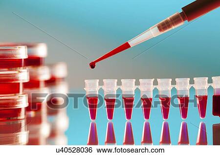 Stock Photograph - Biological research.. Fotosearch