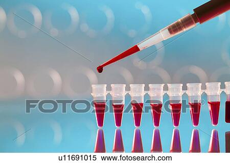 Biological research. View Large Photo Image Stock Photography - Biological research.. Fotosearch