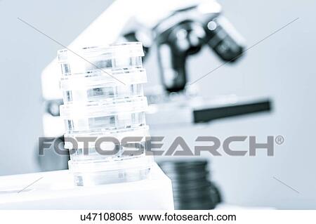 Biological research. View Large Photo Image Stock Photography - Biological research.. Fotosearch