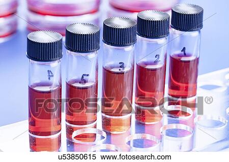 Biological research. View Large Photo Image Stock Photography - Biological research.. Fotosearch