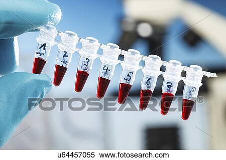 Stock Photography - Biological research.. Fotosearch