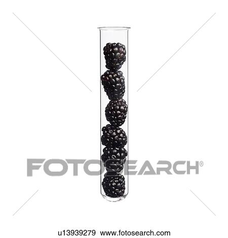 Stock Photo - Blackberries in test tube, studio shot.. Fotosearch