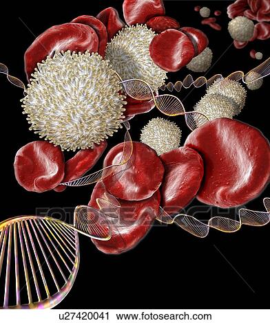 Stock Image - Blood disorders, conceptual composite image. Scanning electron microscopy (SEM) and computer generated image (CGI) of DNA (deoxyribonucleic acid) molecules (helices) and red and white blood cells. There are a number of blood disorders that are caused.... Fotosearch