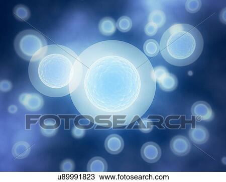 Blue cells, computer illustration. View Large Photo Image Stock Image - Blue cells, computer illustration.. Fotosearch