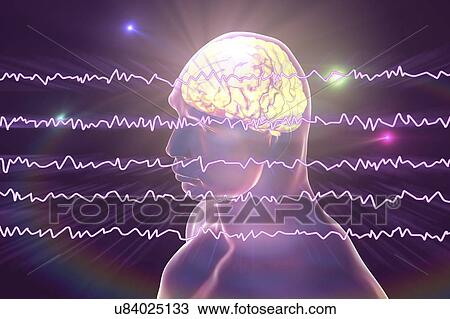 Stock Image - Brain and active brain waves, computer illustration. An electroencephalogram (EEG) measures electrical activity in the brain using electrodes attached to the scalp. Various disorders can be diagnosed by analysing EEG results.. Fotosearch