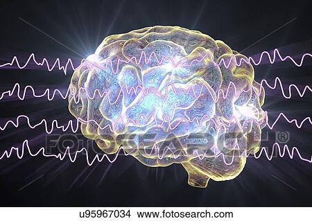 Picture - Brain and brain waves in awake state during rest, computer illustration. An electroencephalogram (EEG) measures electrical activity in the brain using electrodes attached to the scalp. Various disorders can be diagnosed by analysing EEG results.. Fotosearch