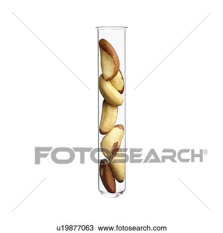 Stock Image - Brazil nuts in test tube, studio shot.. Fotosearch
