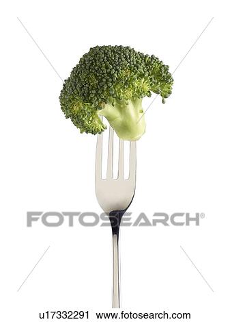 Stock Image - Broccoli on a fork.. Fotosearch
