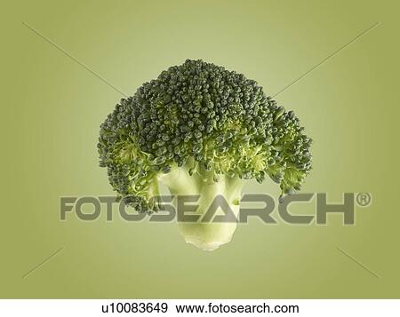 Broccoli. View Large Photo Image Stock Photo - Broccoli.. Fotosearch