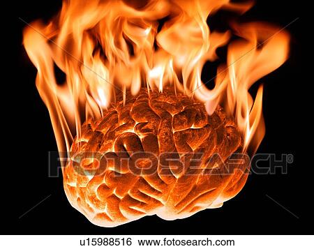 Stock Photograph - Burning human brain, computer artwork.. Fotosearch