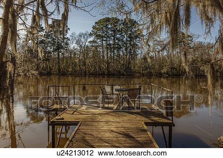 Caddo Lake State Park, Eastern Texas View Large Photo Image Stock Image - Caddo Lake State Park, Eastern Texas. Fotosearch