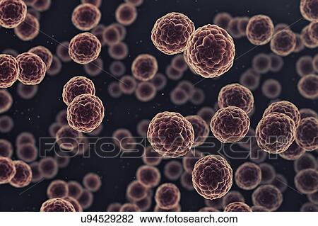 Stock Image - Cancer cells, illustration.. Fotosearch