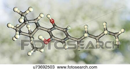 Cannabidiol, molecular model. Cannabidiol (CBD) is a cannabinoid chemical found in cannabis plants. Cannabis-derived drugs may be medically useful due to their ability to relieve pain and nausea, increase appetite and control muscle spasms. They may... View Large Photo Image Stock Image - Cannabidiol, molecular model. Cannabidiol (CBD) is a cannabinoid chemical found in cannabis plants. Cannabis-derived drugs may be medically useful due to their ability to relieve pain and nausea, increase appetite and control muscle spasms. They may.... Fotosearch