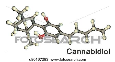 Cannabidiol, molecular model. Cannabidiol (CBD) is a cannabinoid chemical found in cannabis plants. Cannabis-derived drugs may be medically useful due to their ability to relieve pain and nausea, increase appetite and control muscle spasms. They may... View Large Photo Image Stock Image - Cannabidiol, molecular model. Cannabidiol (CBD) is a cannabinoid chemical found in cannabis plants. Cannabis-derived drugs may be medically useful due to their ability to relieve pain and nausea, increase appetite and control muscle spasms. They may.... Fotosearch