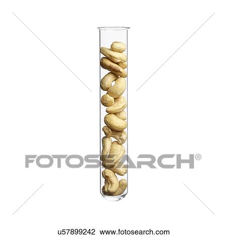 Cashew nuts in test tube, studio shot. View Large Photo Image Stock Image - Cashew nuts in test tube, studio shot.. Fotosearch