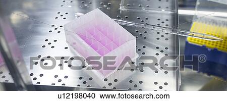 Stock Image - Cell-based testing kit in a laboratory that engineers human tissues for implant. Such implants include bone and skin grafts.. Fotosearch