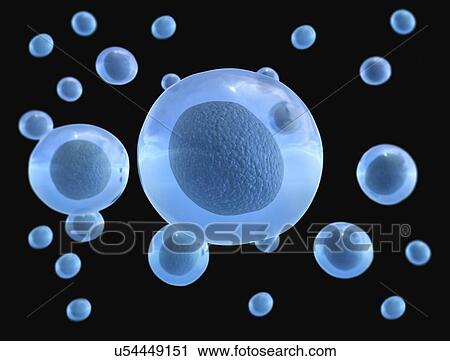 Stock Image - Cells, illustration.. Fotosearch