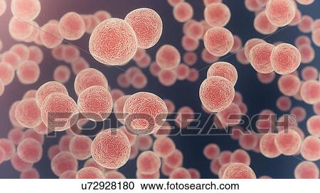 Stock Image - Cells, illustration.. Fotosearch