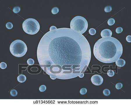 Stock Image - Cells, illustration.. Fotosearch