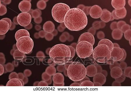 Stock Image - Cells, illustration.. Fotosearch