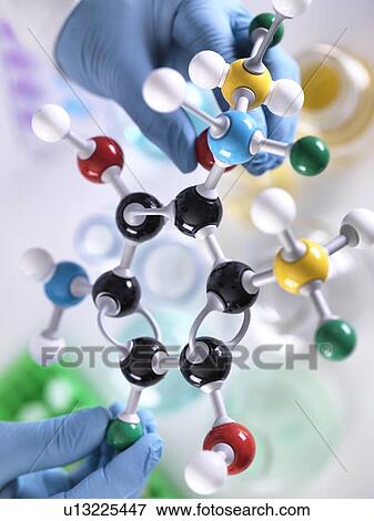 Stock Photo - Chemistry research. Researcher designing a chemical formula using a molecular model.. Fotosearch