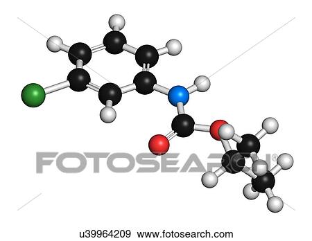 Chlorpropham herbicide molecule. 3D rendering. Atoms are represented as spheres with conventional colour-coding: hydrogen (white), carbon (black), oxygen (red), nitrogen (blue), chlorine (green). View Large Photo Image Stock Photo - Chlorpropham herbicide molecule. 3D rendering. Atoms are represented as spheres with conventional colour-coding: hydrogen (white), carbon (black), oxygen (red), nitrogen (blue), chlorine (green).. Fotosearch