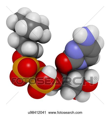 Stock Image - Citicoline (CDP-choline) molecule. 3D rendering. Atoms are represented as spheres with conventional colour-coding: hydrogen (white), carbon (grey), oxygen (red), nitrogen (blue), phosphorus (orange).. Fotosearch
