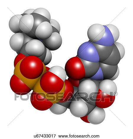 Stock Photo - Citicoline (CDP-choline) molecule. 3D rendering. Atoms are represented as spheres with conventional colour-coding: hydrogen (white), carbon (grey), oxygen (red), nitrogen (blue), phosphorus (orange).. Fotosearch