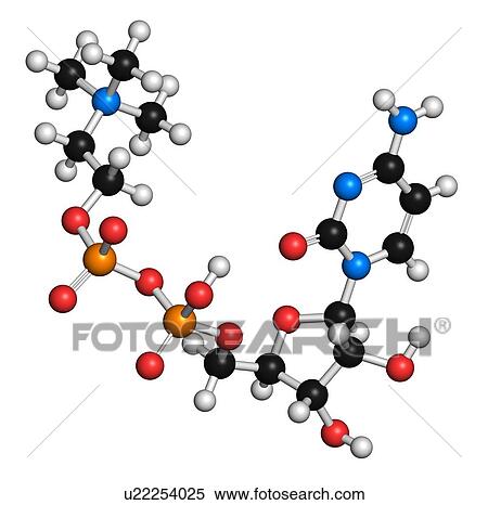 Citicoline (CDP-choline) molecule. 3D rendering. Atoms are represented as spheres with conventional colour-coding: hydrogen (white), carbon (black), oxygen (red), nitrogen (blue), phosphorus (orange). View Large Photo Image Stock Photography - Citicoline (CDP-choline) molecule. 3D rendering. Atoms are represented as spheres with conventional colour-coding: hydrogen (white), carbon (black), oxygen (red), nitrogen (blue), phosphorus (orange).. Fotosearch