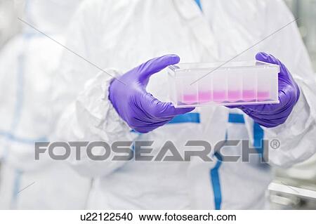 Close-up of a lab technician carrying a cell-based testing kit in a laboratory that engineers human tissues for implant. Such implants include bone and skin grafts. View Large Photo Image Stock Image - Close-up of a lab technician carrying a cell-based testing kit in a laboratory that engineers human tissues for implant. Such implants include bone and skin grafts.. Fotosearch